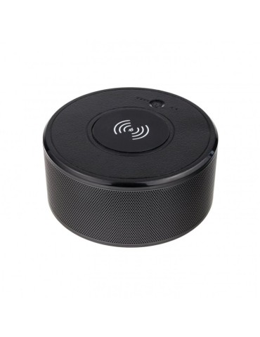 WiFi mini camera in bluetooth speaker Secutek SAH-IP027